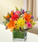 Healing Tears<br>Multicolor Bright Davis Floral Clayton Indiana from Davis Floral